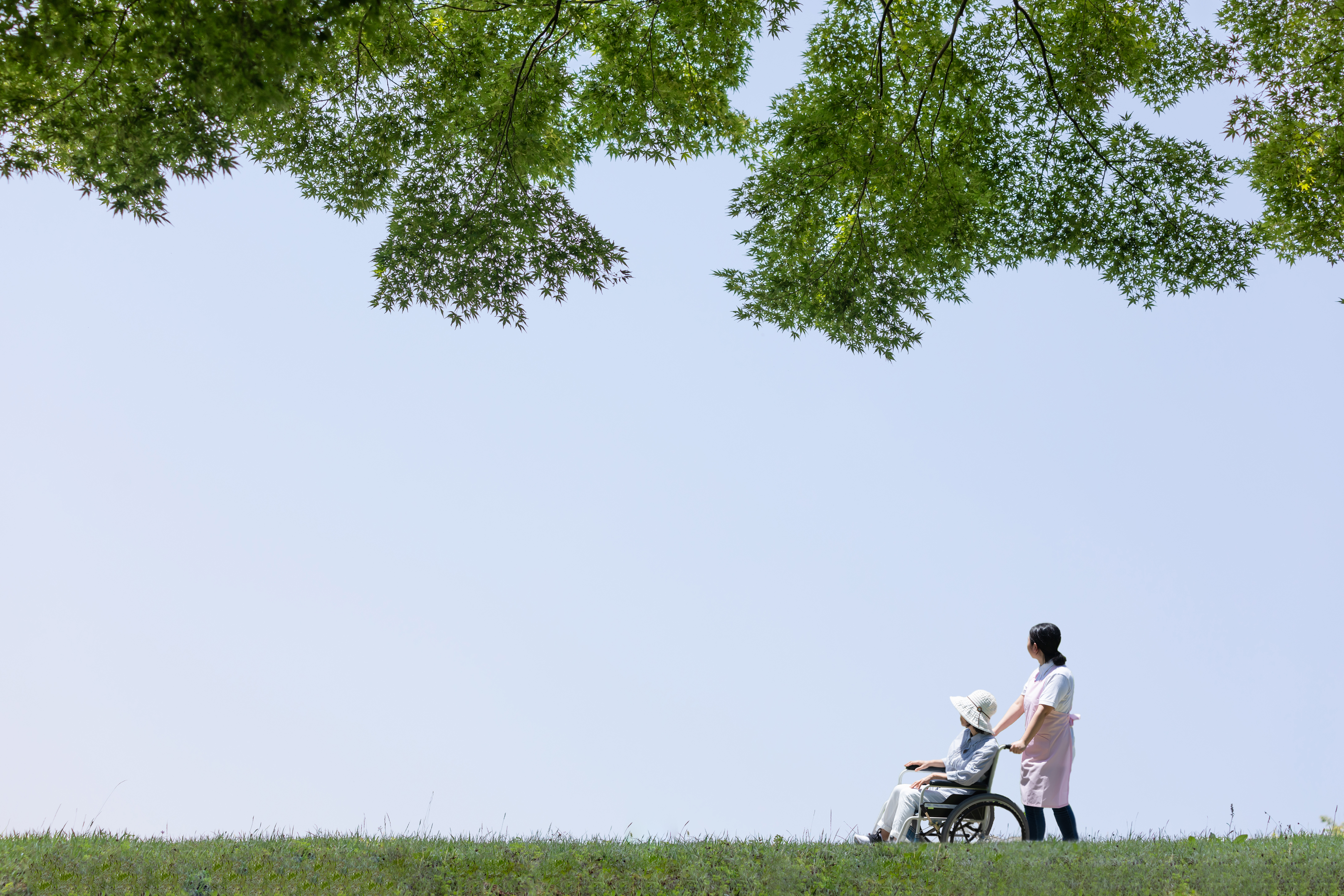 Compassionate caregiving and emotional support during hospice care
